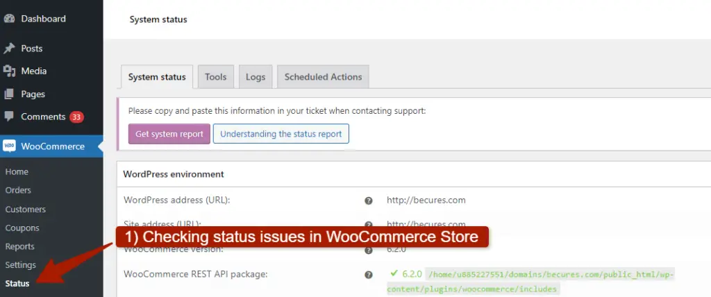 Checking for status issues in WooCommerce