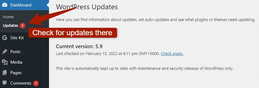 checking for updates in wordpress