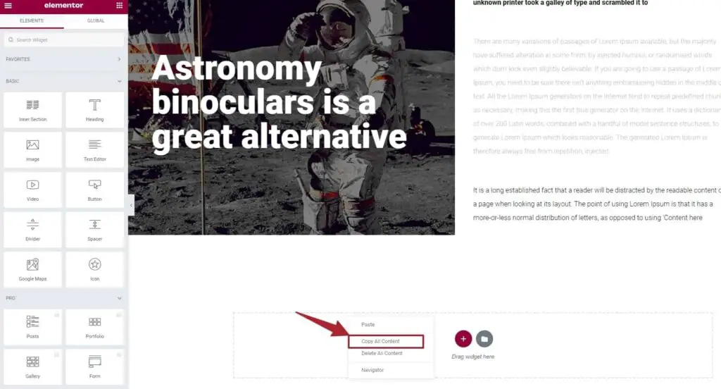 Copy page content in elementor