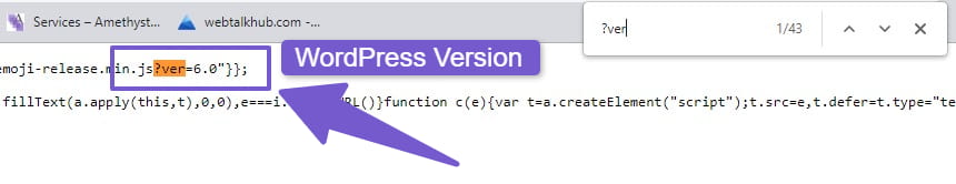script wordpress version number
