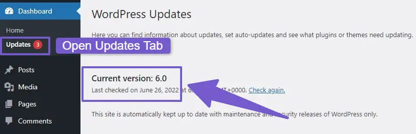 updates tab in wordpress dashboard