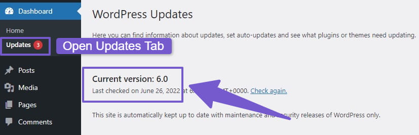 updates tab in wordpress dashboard