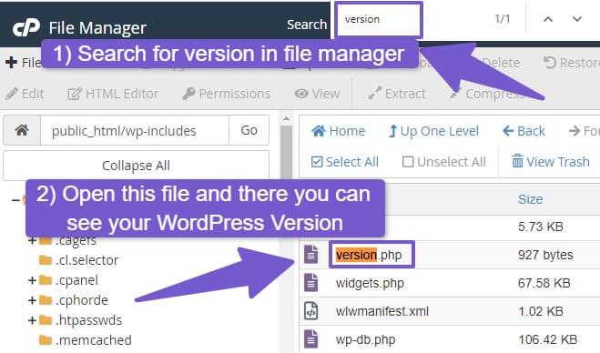 version.php in file manager of your hosting
