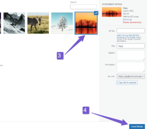 How To Add Text Over Image in Elementor - WebTalkHub