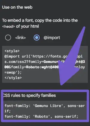 Adding google font name in Custom CSS tab site