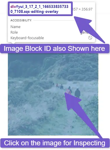 Hover on the image to select its ID