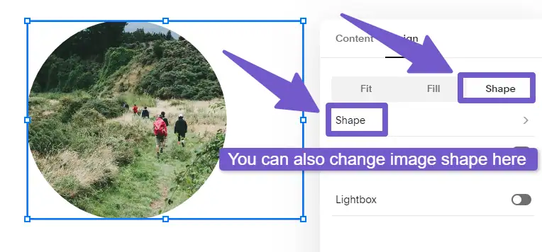 changing image shape in Squarespace