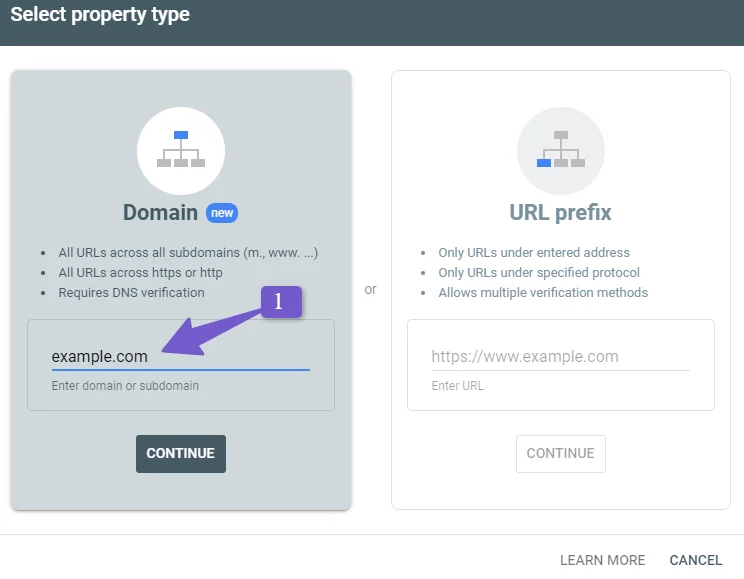 Add website URL for Domain Configuration verification