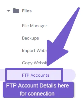 FTP account details for connecting, username, password etc