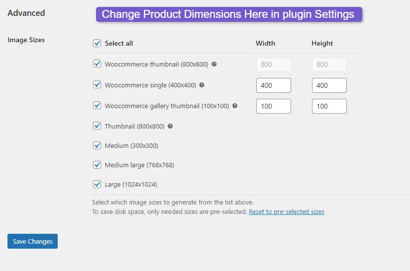 Plugin Customization options you can change