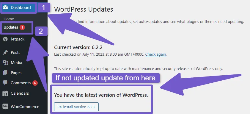 Updating your WordPress version