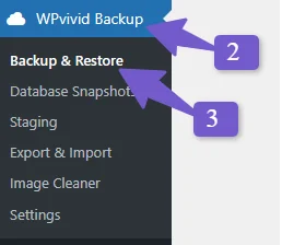 access wpvivid plugin settings