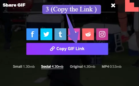 copy url of gif from giphy