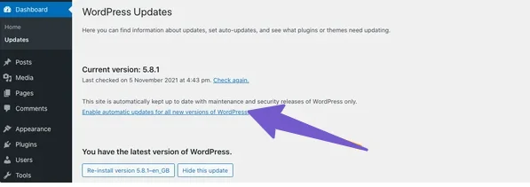 Enable automatic update option in wordpress