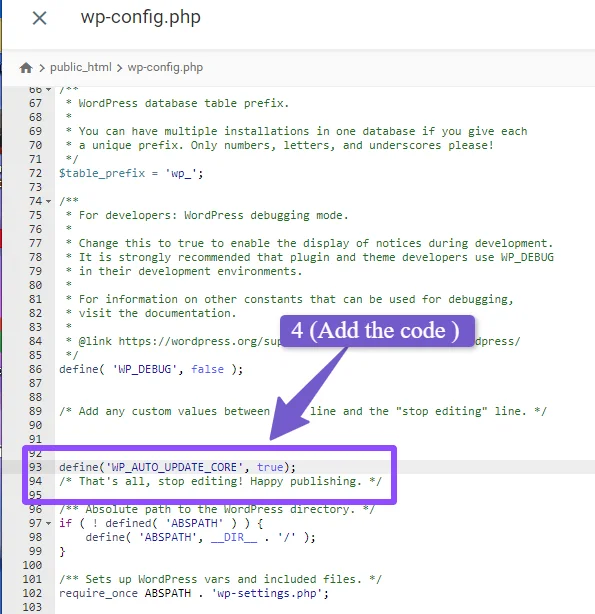 add automcatic update code in wp config file