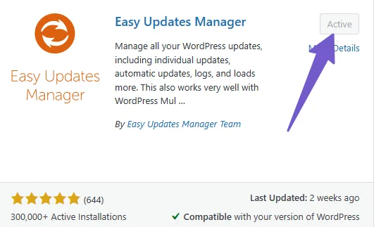 automatic update plugin wordpress
