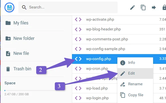 edit wp-config file to enable automatic update