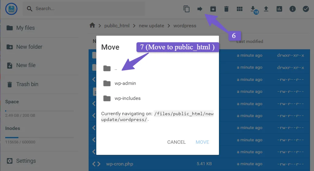 move the new files to root folder