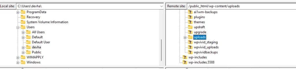 two sections in ftp, one for local files and other is wordpress installation files