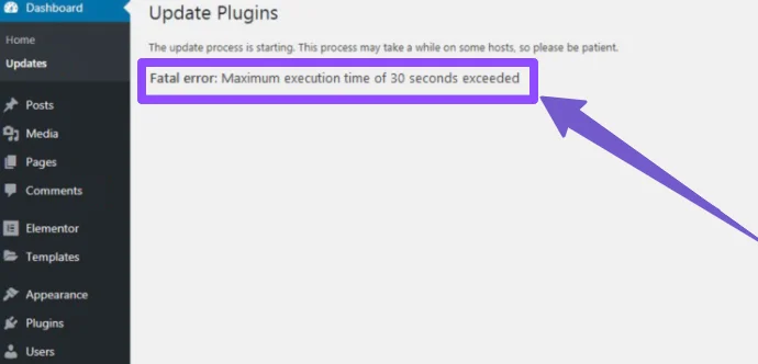 Maximum Execution Time Exceeded Error in WordPress
