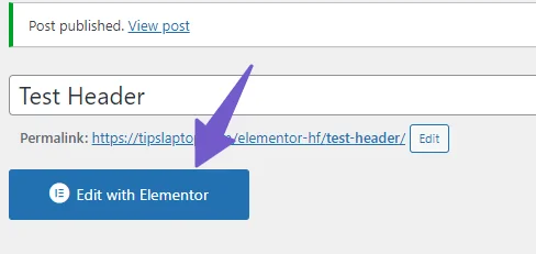 edit with elementor settings