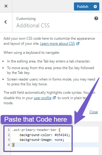 paste that code in Additional CSS tab