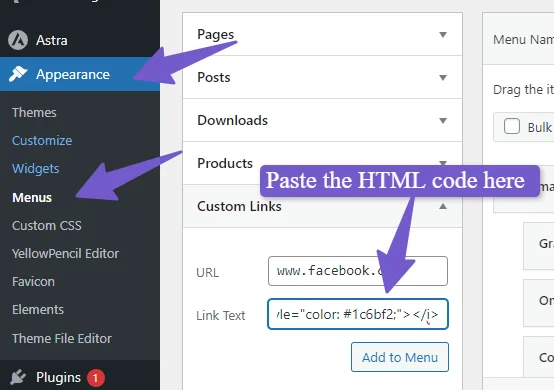 paste the icon html code in the custom link