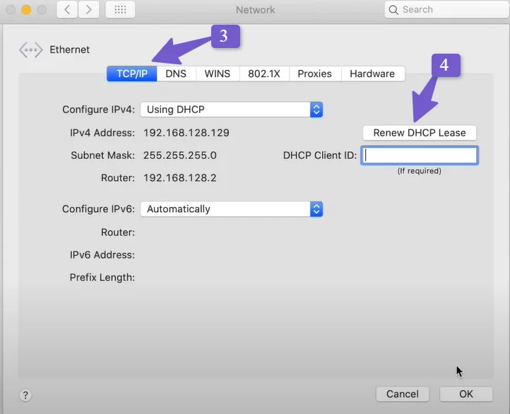 Reset TCPIP Settings in Mac 