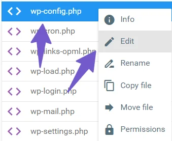 access wp-config file for adding custom code for changing recovery email