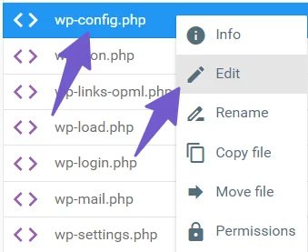 access wp-config file to enable debug mode