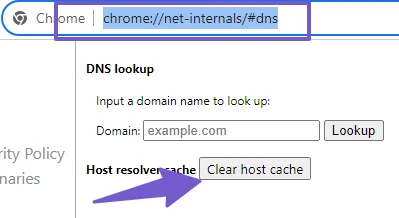 clear chrome browser DNS