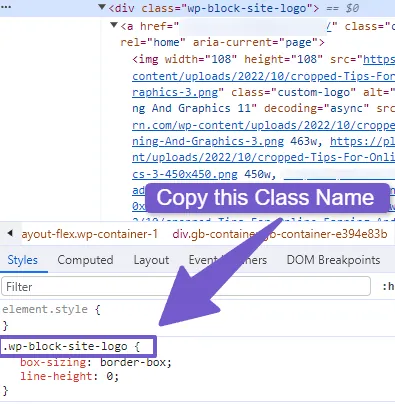 copy the logo CSS class name