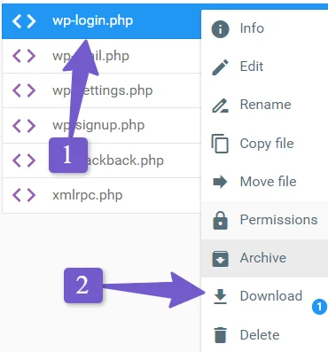 download wp-login.php file from file manager