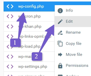 modify wp-config .php file to fix wordpress login issue