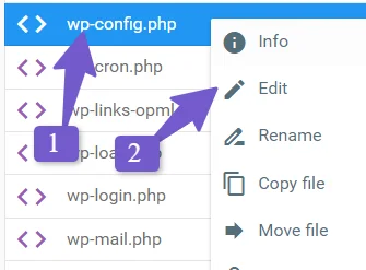 wp-config.php file for debug logs