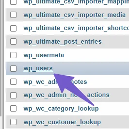 wp_user in wordpress database