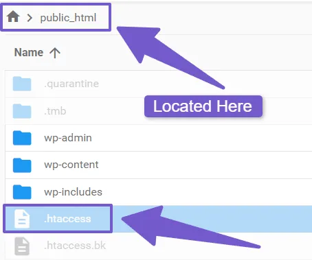 Accesing .htaccess file in file manager of your hosting