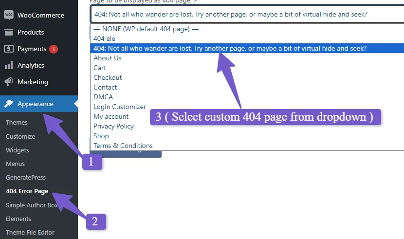  Smart Custom 404 Plugin settings