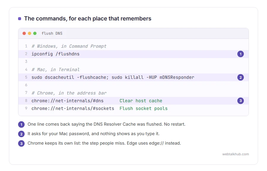 The commands to flush the DNS cache: ipconfig /flushdns on Windows, the dscacheutil command on a Mac, and Chrome's net-internals page