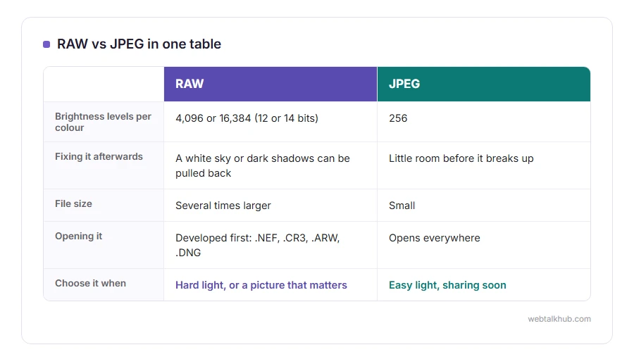 Comparison of RAW and JPEG: brightness levels, how far a photo can be fixed, file size and where each opens