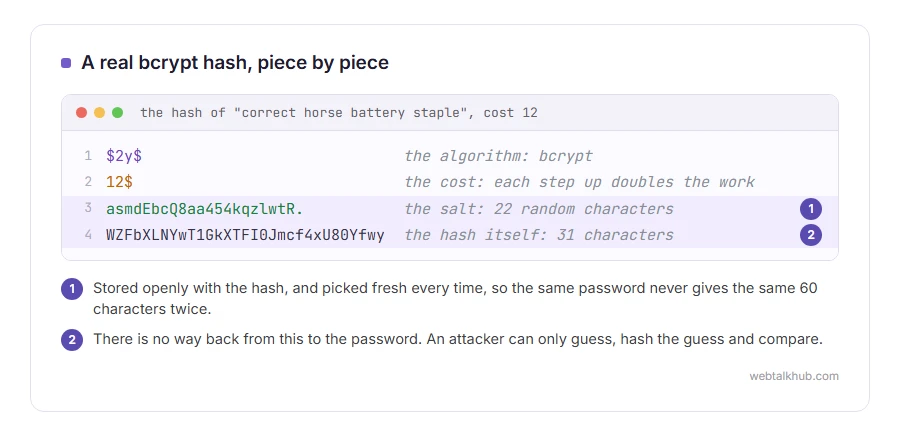 A real bcrypt password hash split into its parts: $2y$ for the algorithm, 12 for the cost, 22 characters of salt and 31 characters of hash